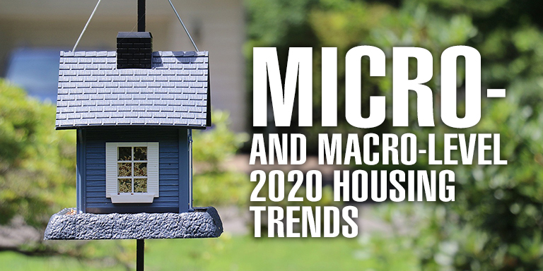Micro-and Macro-Level 2020 Housing Trends